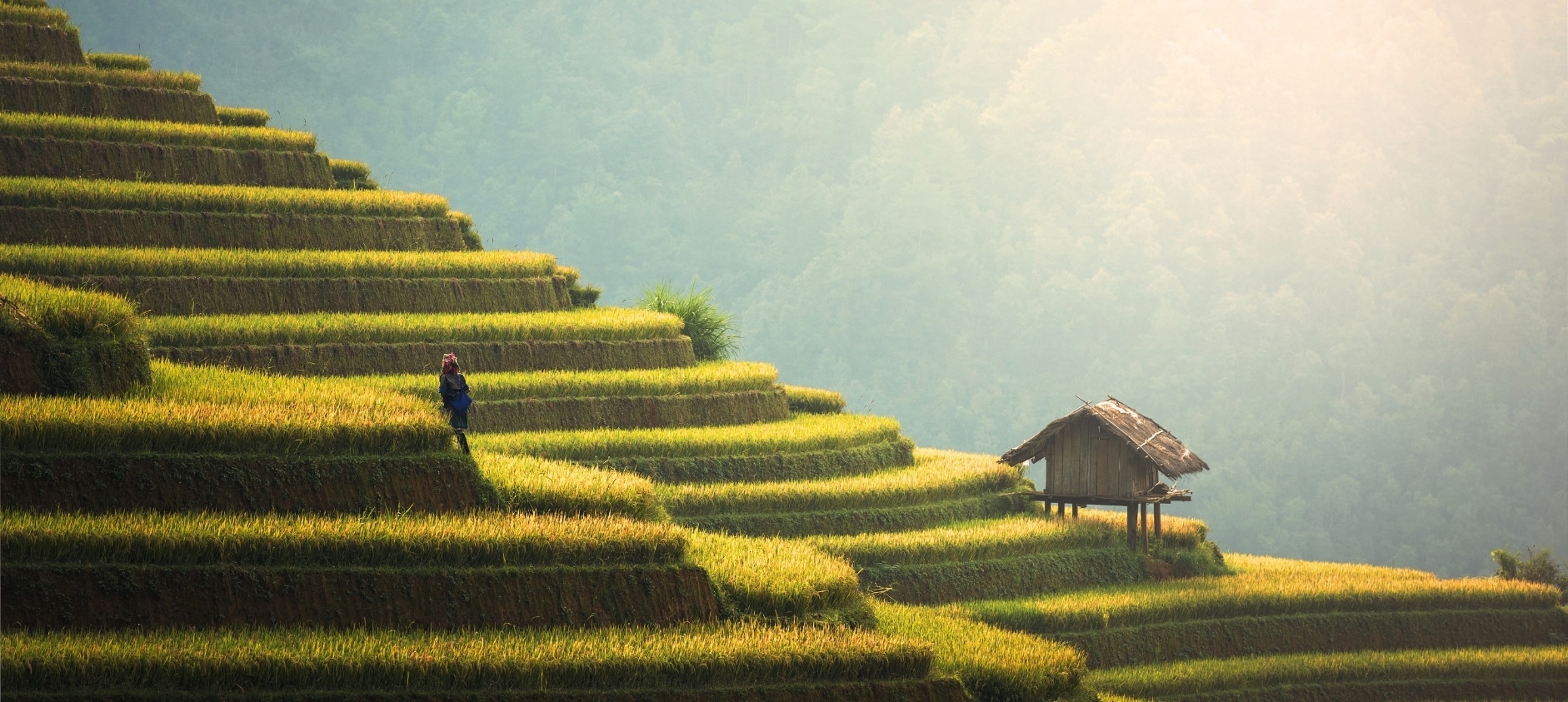 cambodia