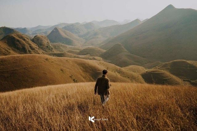 Collina di Ba Quang: Poesia nelle Grandi Foreste di Cao Bang