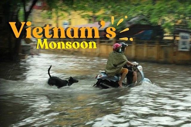 Stagione delle Piogge in Vietnam: Guida e Consigli di Viaggio