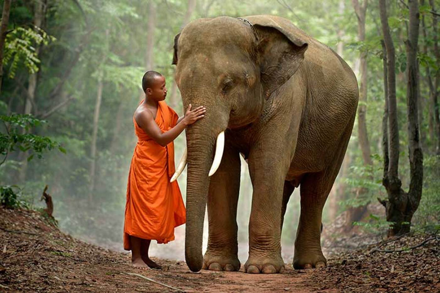 Visto per il Laos 2026: formalità per ottenere il tuo visto per il Laos