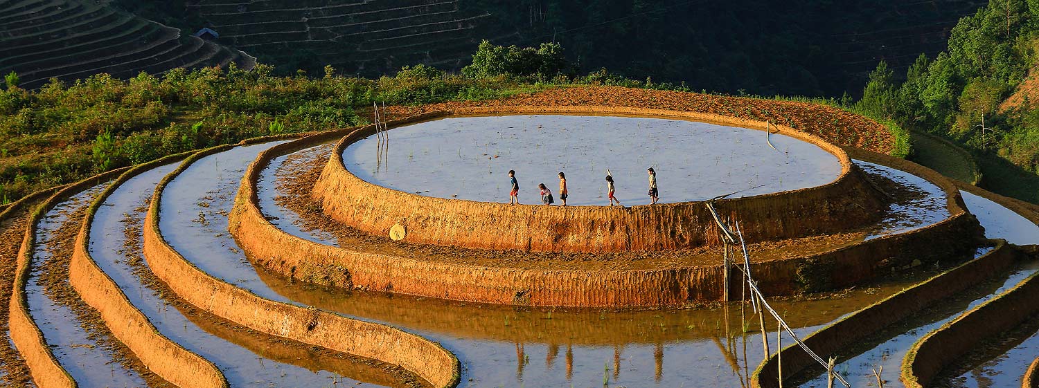 Mu Cang Chai decodificato 2026: guida completa per chi visita per la prima volta