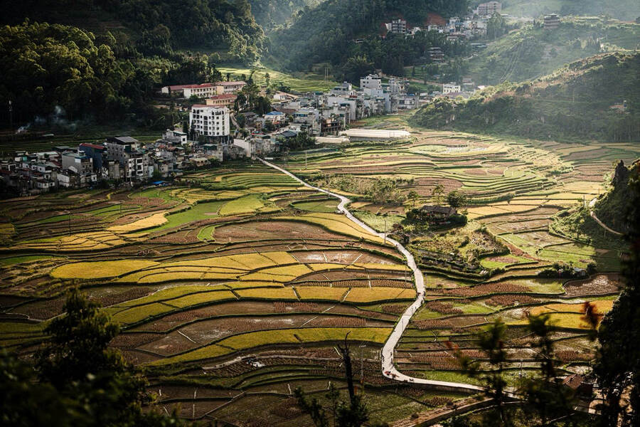 Homestay in Vietnam: il modo migliore per vivere come un locale!