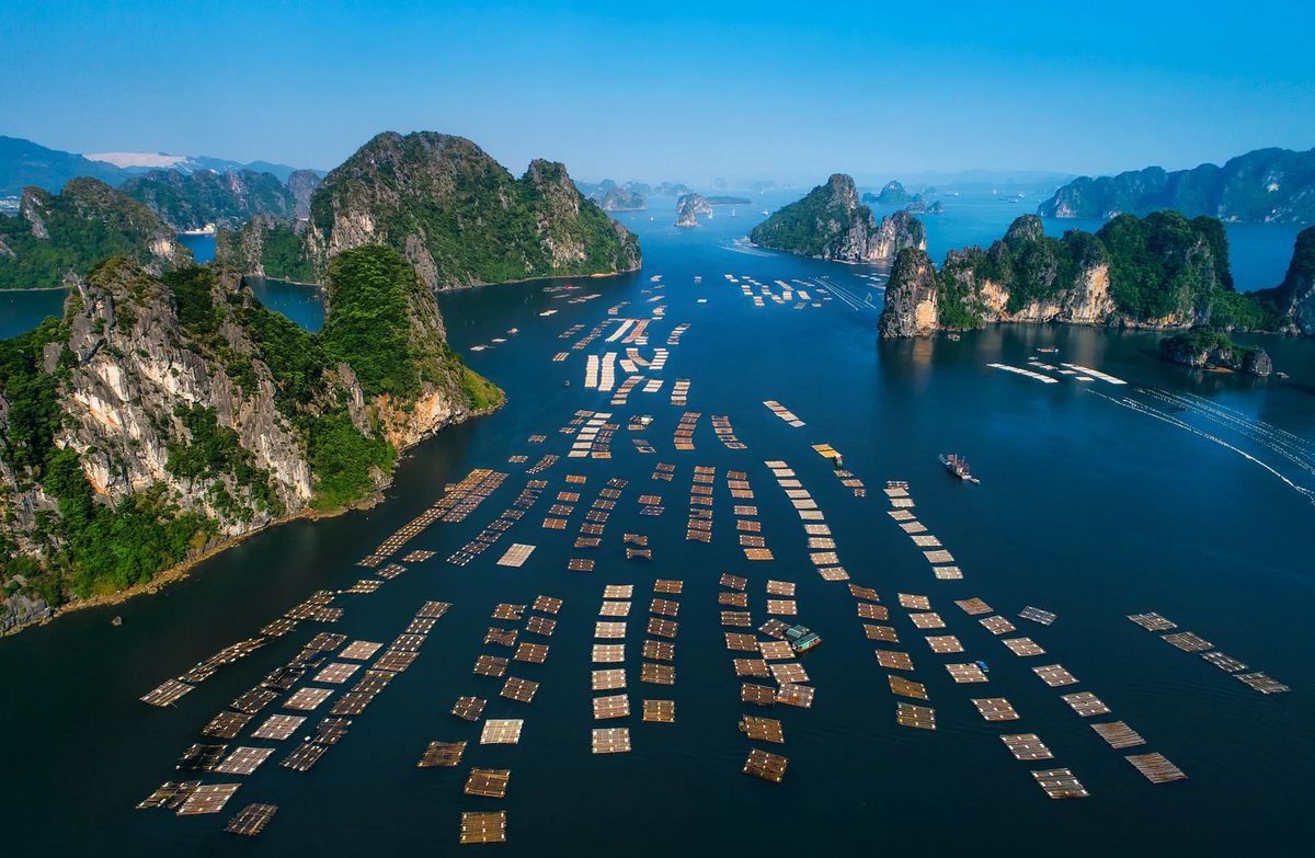 Baia di Bai Tu Long: LAlternativa Senza Folla a Halong