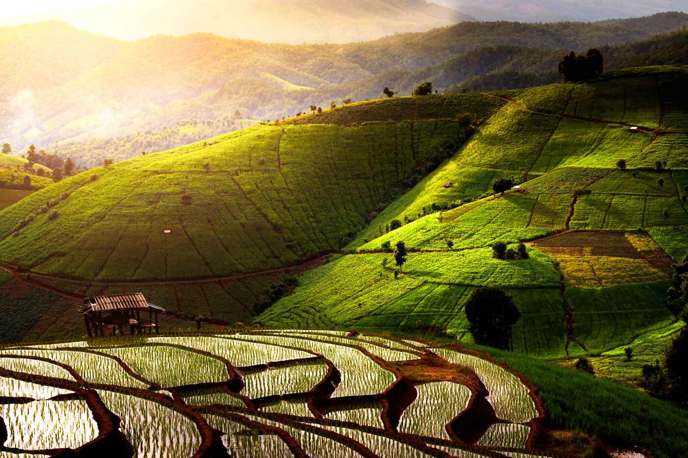 Chiang Mai, Thailandia: Guida Completa alla Rosa del Nord