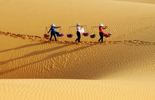 Mui Ne, Vietnam: Cosa Vedere e Fare tra Dune e Spiagge