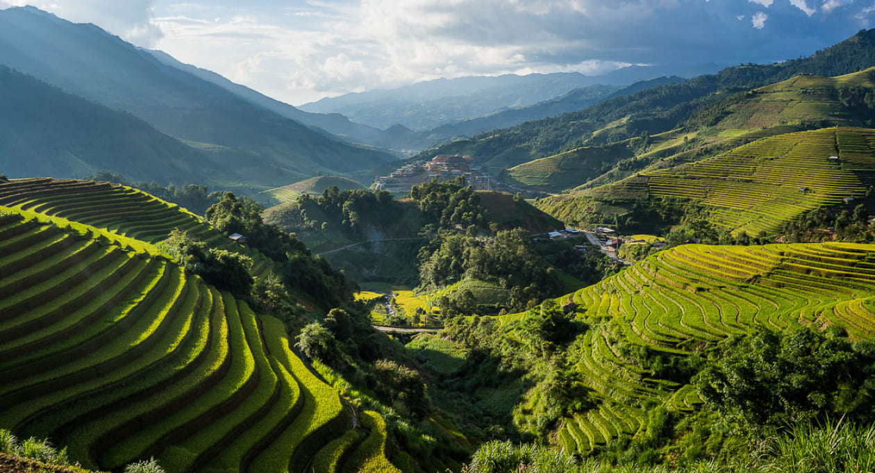 Risaie in Vietnam: dove e Quando Andare per Vederle (Guida 2026)