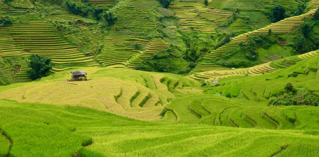 Guida completa a Lao Chai, Sapa: trekking, alloggi e connessioni locali