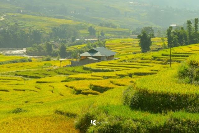 Clima in Vietnam 2026: Qual è il periodo migliore per viaggiare?
