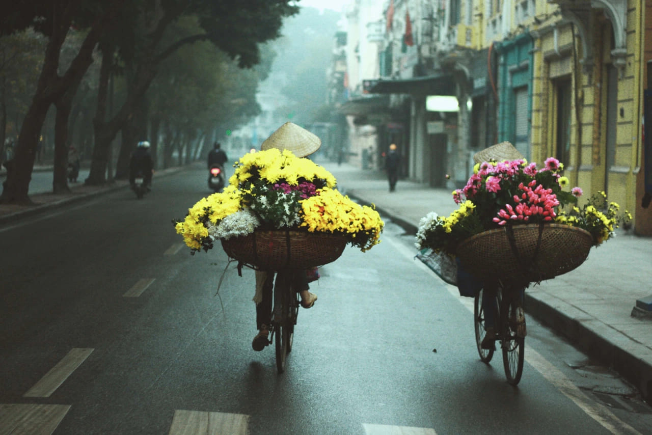 Stagione delle Piogge in Vietnam: Guida e Consigli di Viaggio