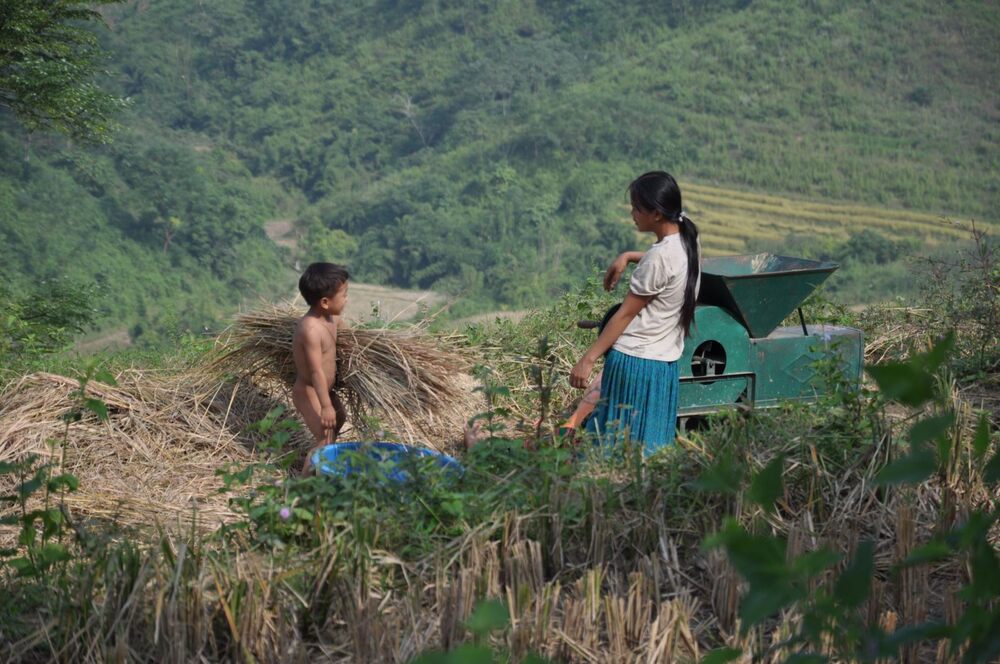 Gli Hmong in Vietnam: storie dagli altopiani del Nord