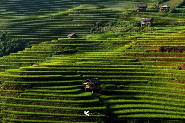 Mu Cang Chai decodificato 2026: guida completa per chi visita per la prima volta