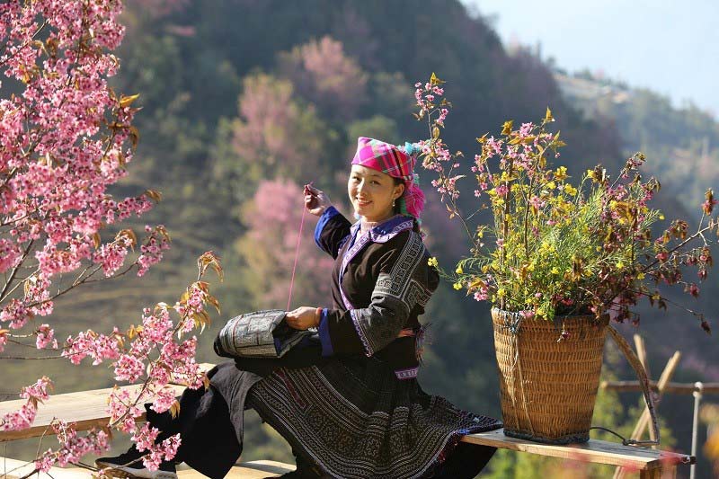 Mu Cang Chai