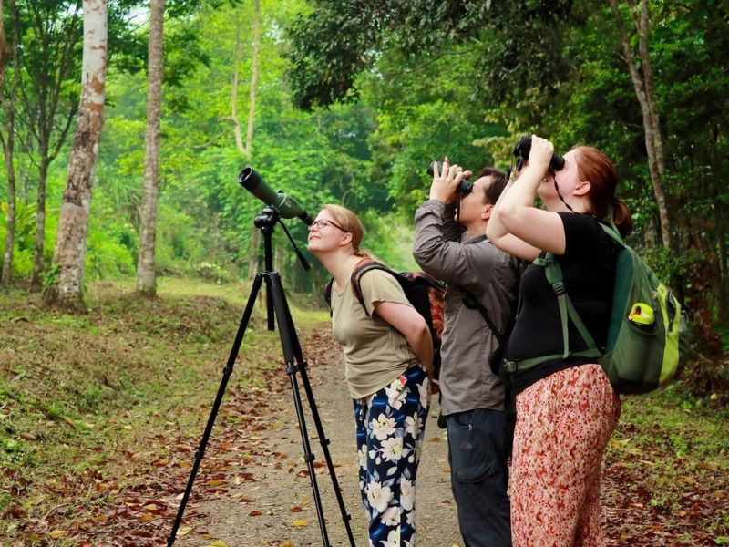 Turisti internazionali esplorano il parco di Cuc Phuong