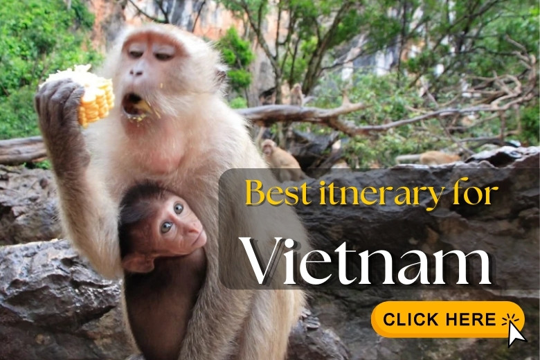Tour in Vietnam