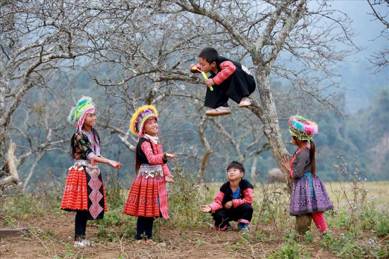 Cultura Hmong