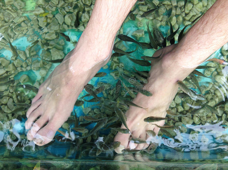 Il fish spa