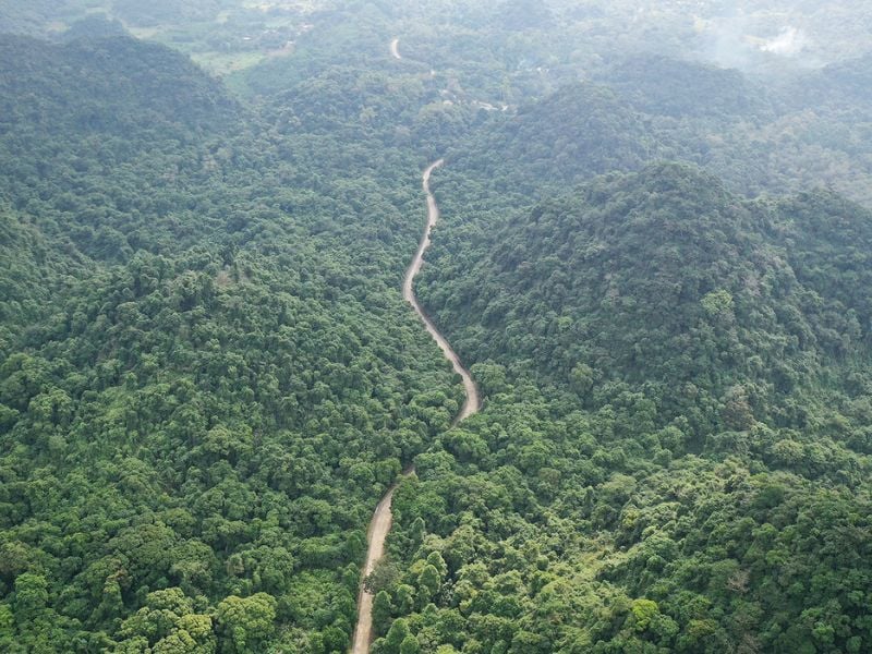 Percorso principale verso il cuore del parco