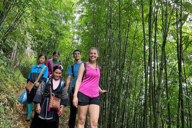 ta van bamboo forest