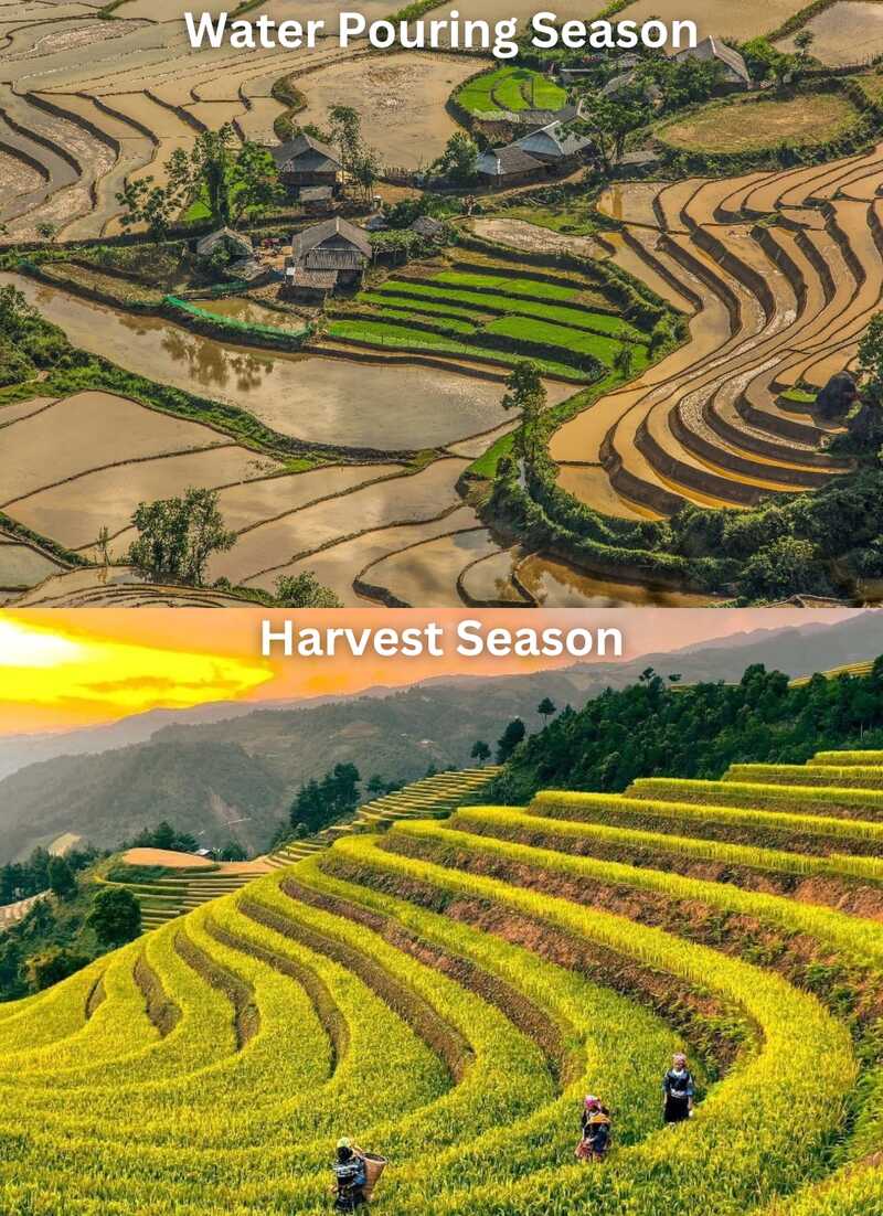 Bac Ha