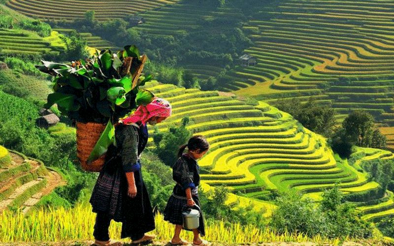Le splendide risaie a terrazza nelle montagne del Vietnam del nord