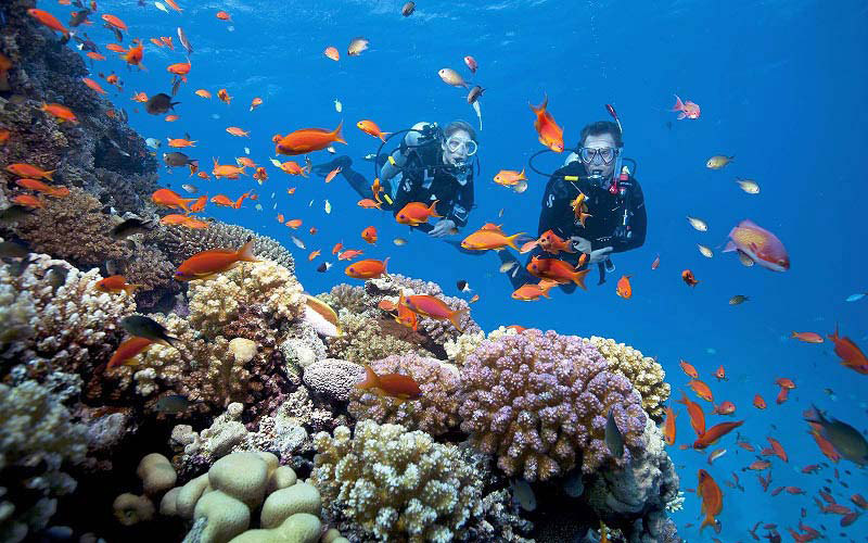 cat ba diving