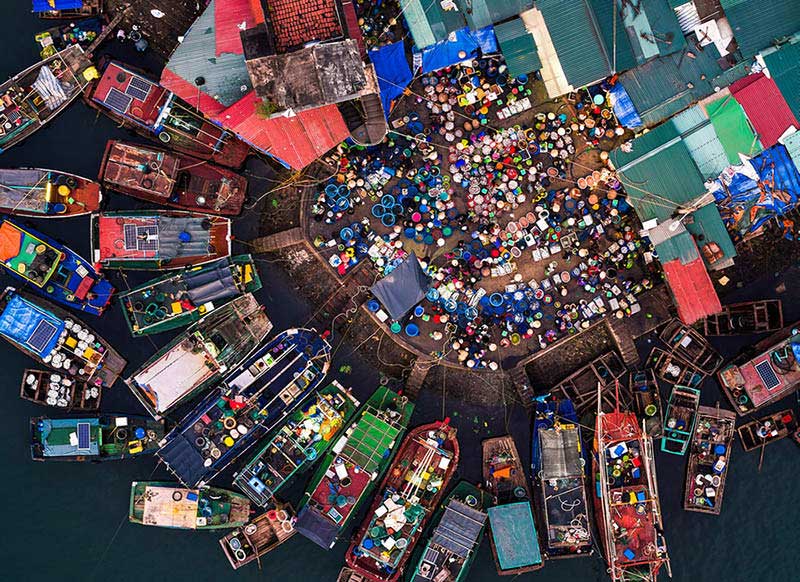 seafood market
