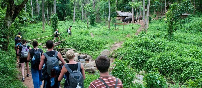 Trekking nella foresta nazionale di Cuc Phuong