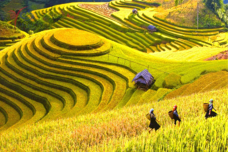 Muong Hoa Valley