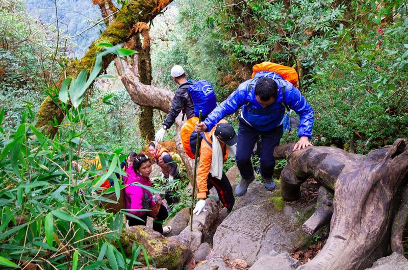 Turisti e locali scalano la montagna