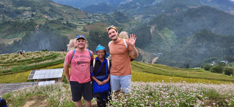 fiori di grano saraceno ha giang