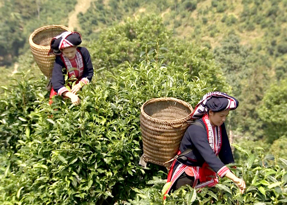 Ciò che distingue Hoang Su Phi è la sua diversità etnica