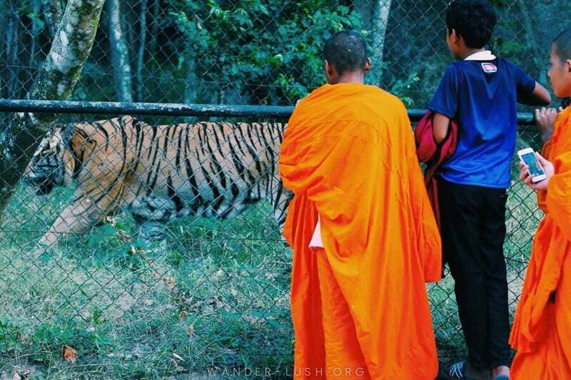 Centro di Recupero della Fauna Selvatica di Phnom Tamao