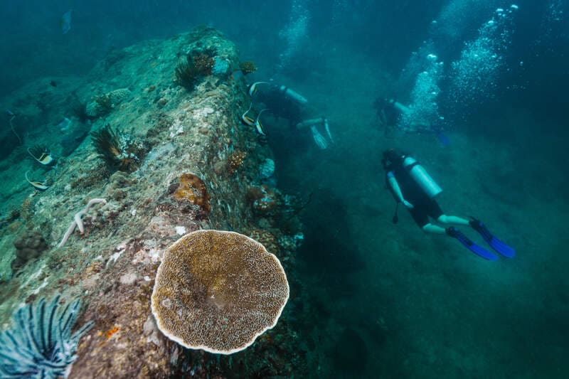 Immersioni a Koh Lipe