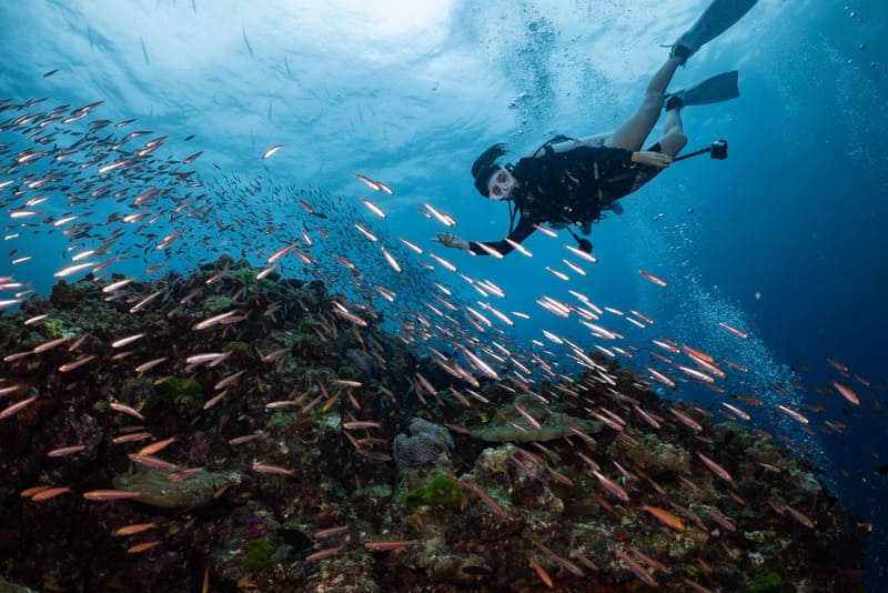 Immersioni a Koh Phi Phi