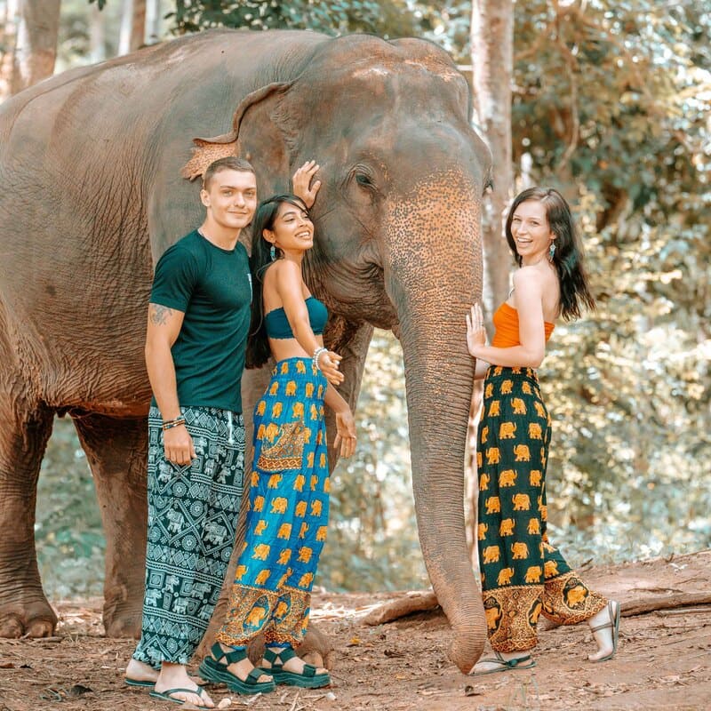 Eleganza e Stile: Pantaloni con Motivi di Elefante