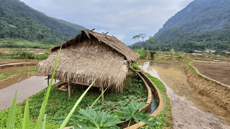 La piccola casa di foglie dove i contadini si riposano dopo il lavoro nei campi