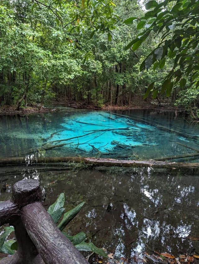 L'Emerald Pool, una piscina naturale dal colore verde smeraldo brillante