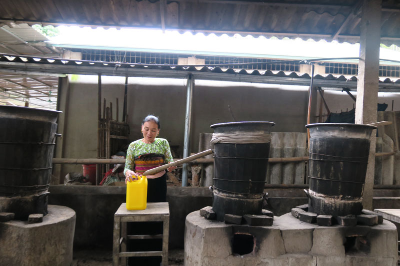 Scopri come i Thai producono il vino a Mai Chau