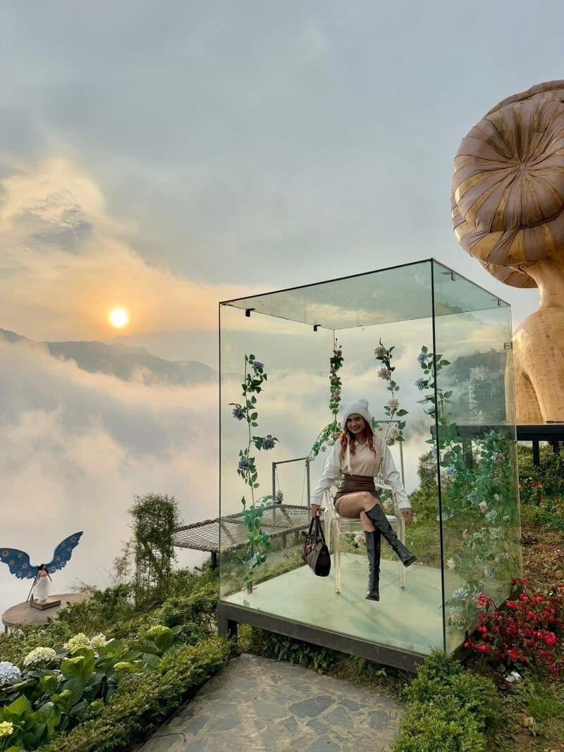 gabbia di rose sapa