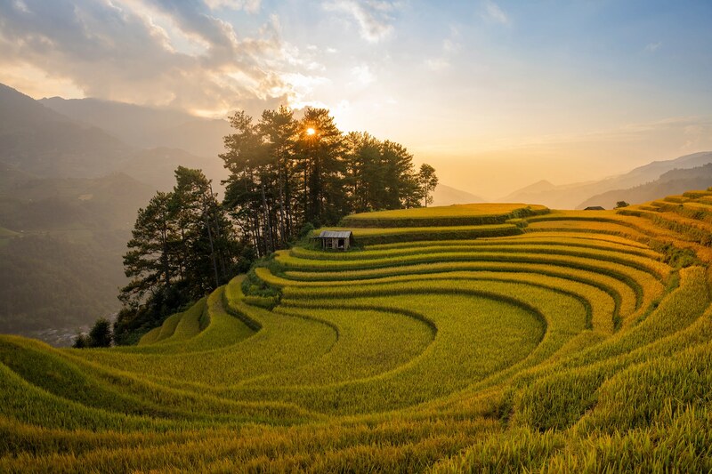 Mu Cang Chai durante la stagione del raccolto
