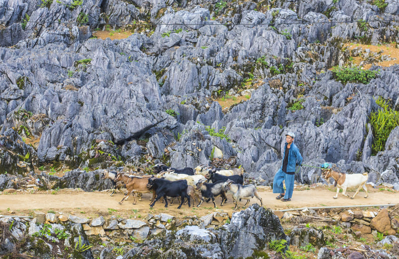 vita sull'altopiano di dong van ha giang