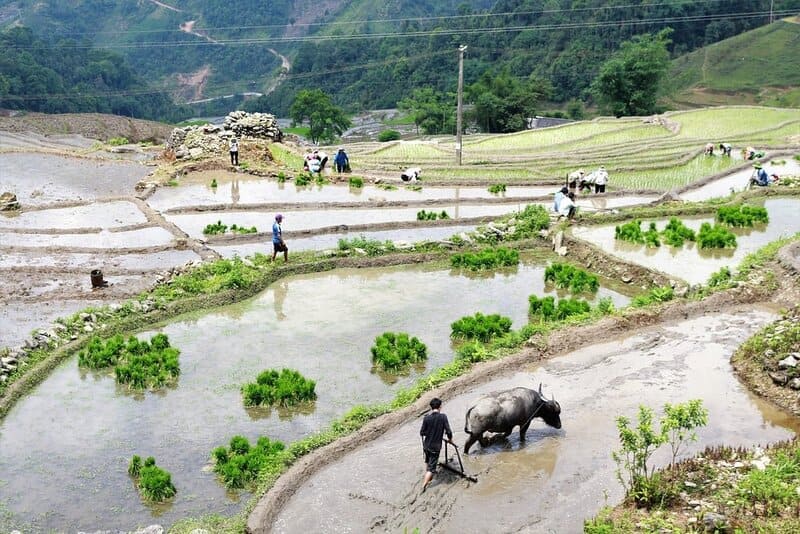 Valle di Muong Hoa