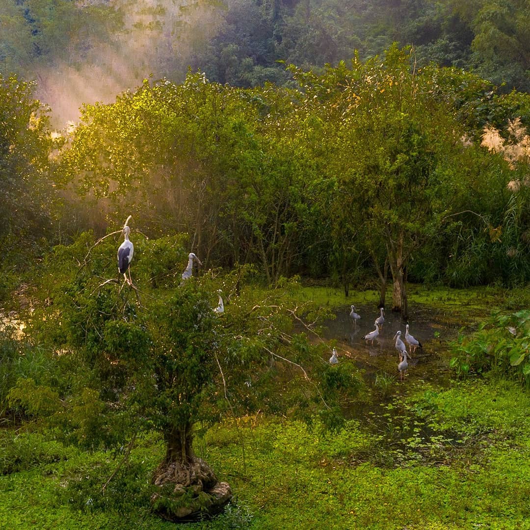 Parco degli Uccelli di Thung Nham