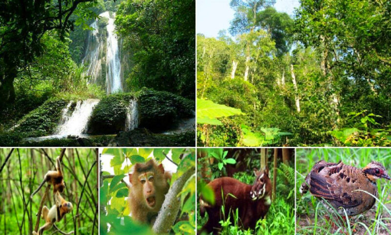 Scopri con i tuoi occhi la fauna selvatica inserita nel Libro Rosso