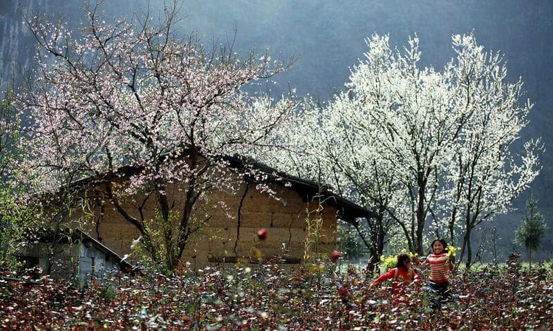 Sapa in primavera