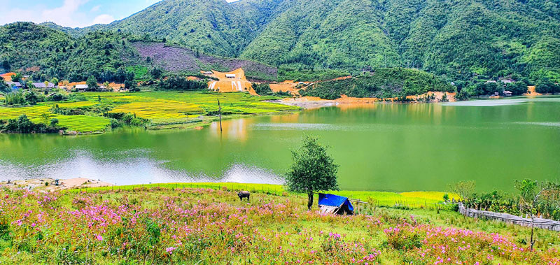lago Seo My Ty