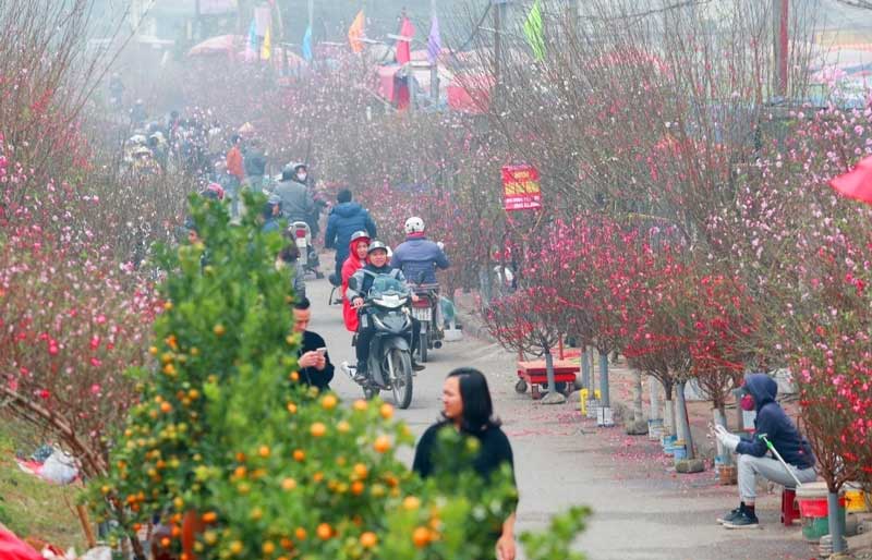 preparativi tet hanoi