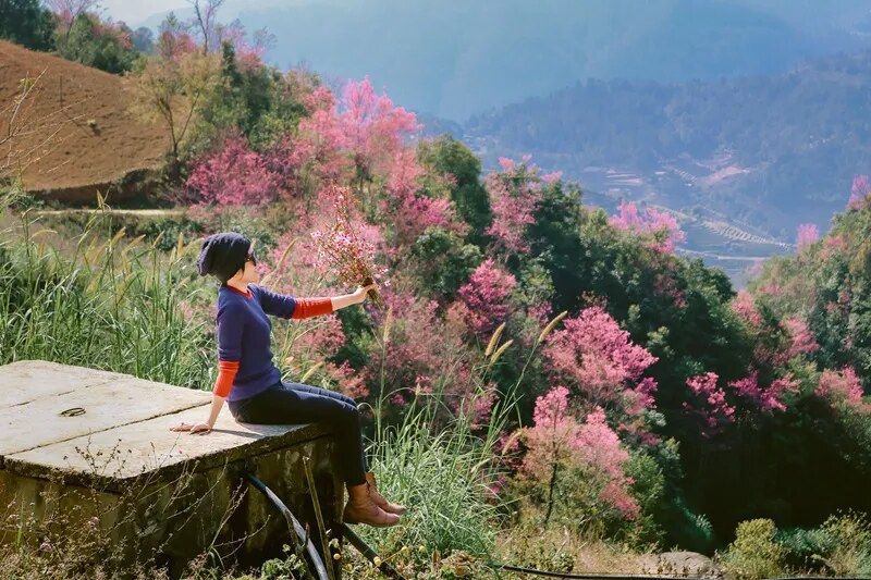 Mu Cang Chai incantevolmente attraente per tutti i turisti in cerca della bellezza dell'inverno