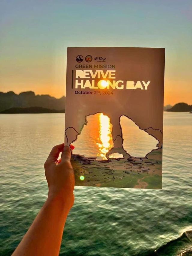 We're incredibly proud to receive this certificate from campaign "Revive Ha Long Bay"