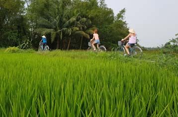 Tour della campagna di Hoi An in bicicletta